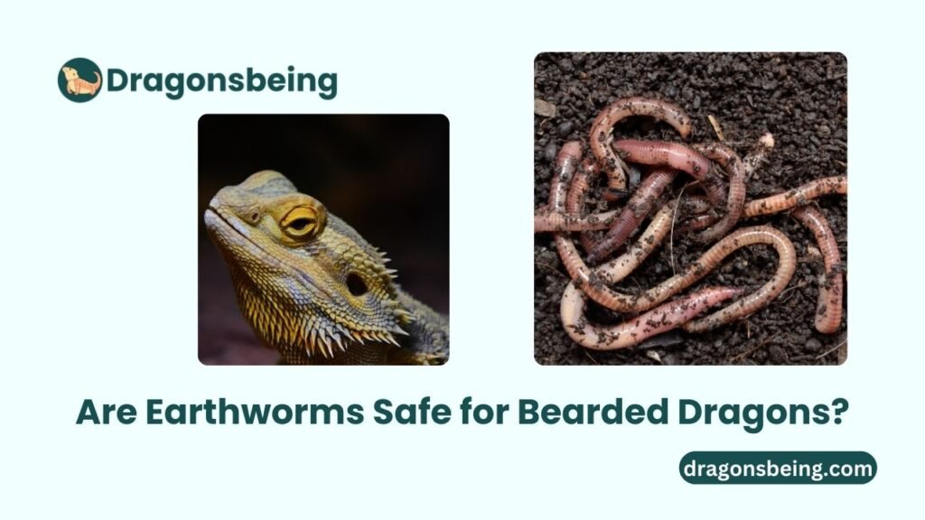 Are Earthworms Safe for Bearded Dragons