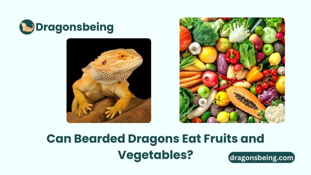 Can Bearded Dragons Eat Fruits and Vegetables