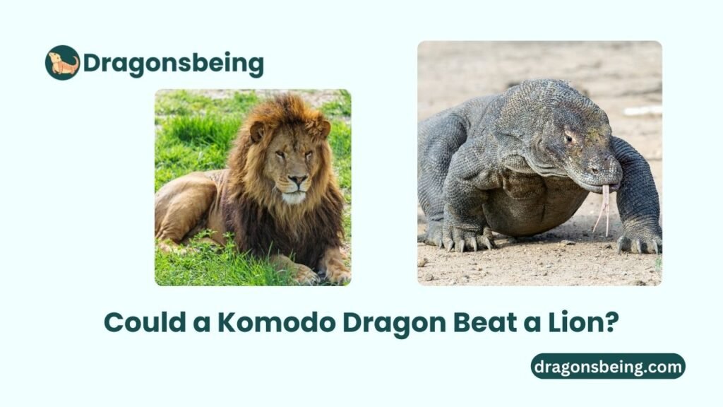 Could a Komodo Dragon Beat a Lion