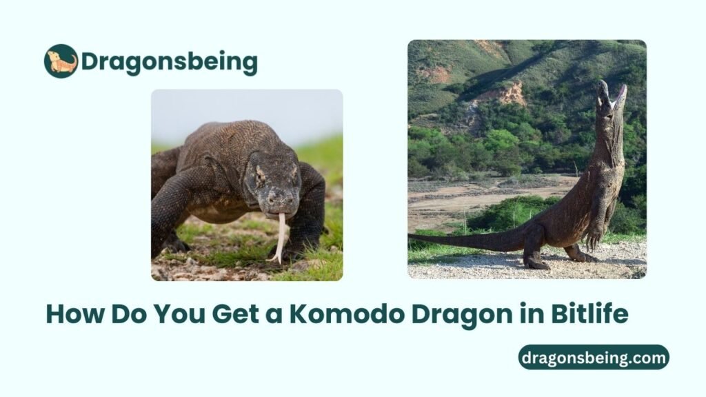 How Do You Get a Komodo Dragon in Bitlife