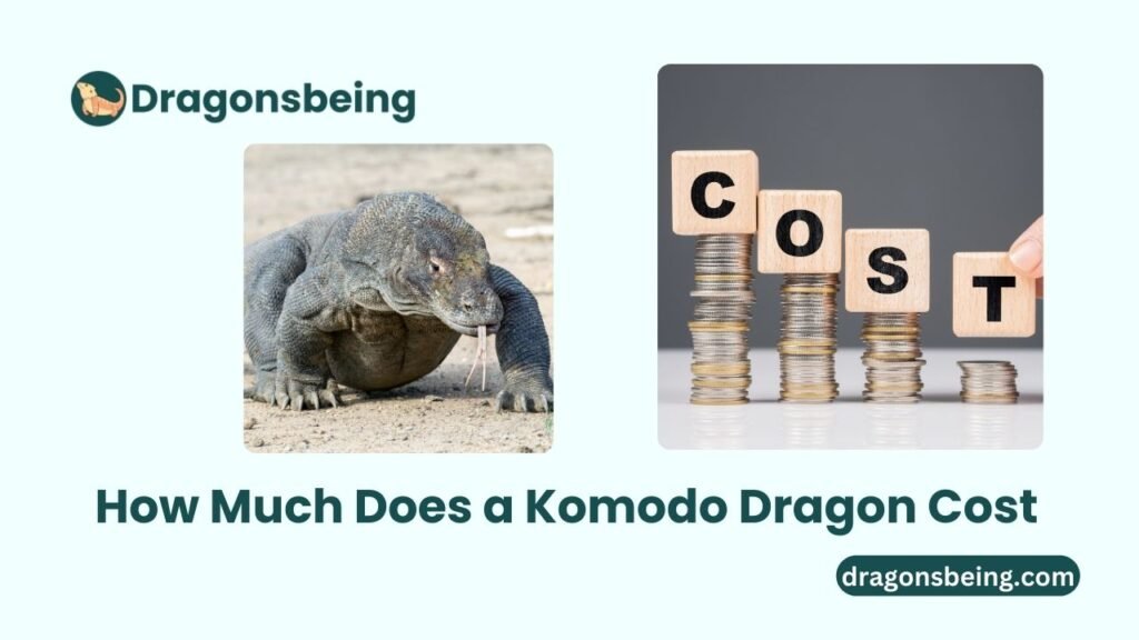 How Much Does a Komodo Dragon Cost