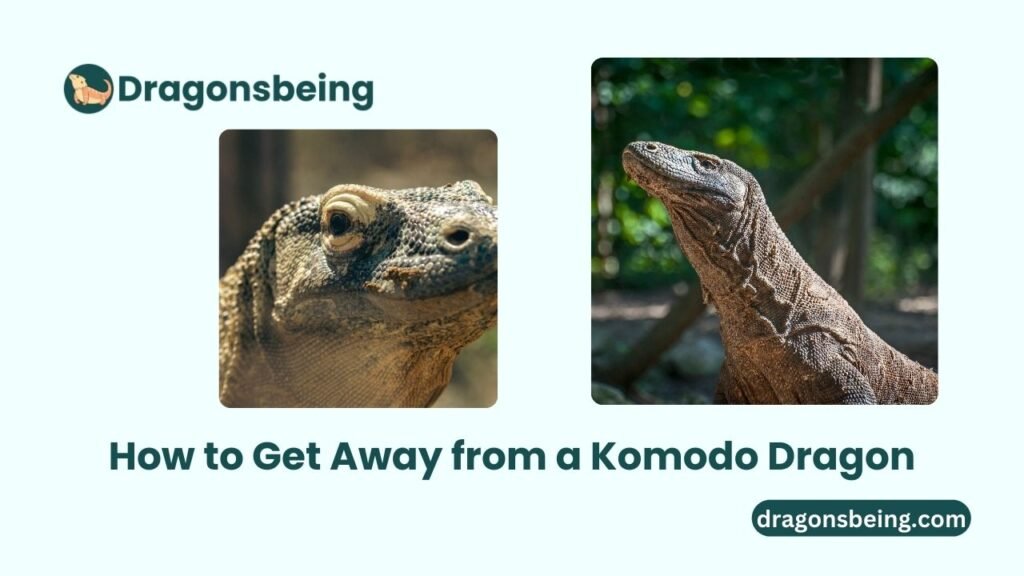 How to Get Away from a Komodo Dragon