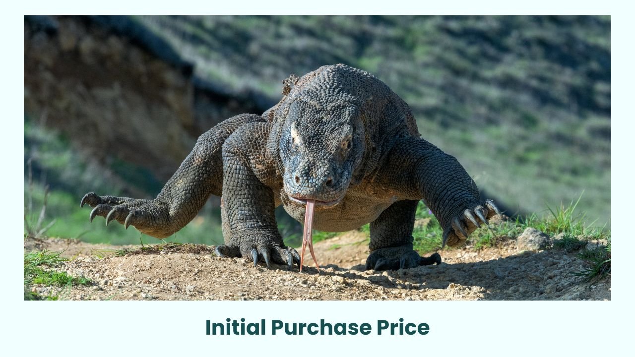 Initial Purchase Price