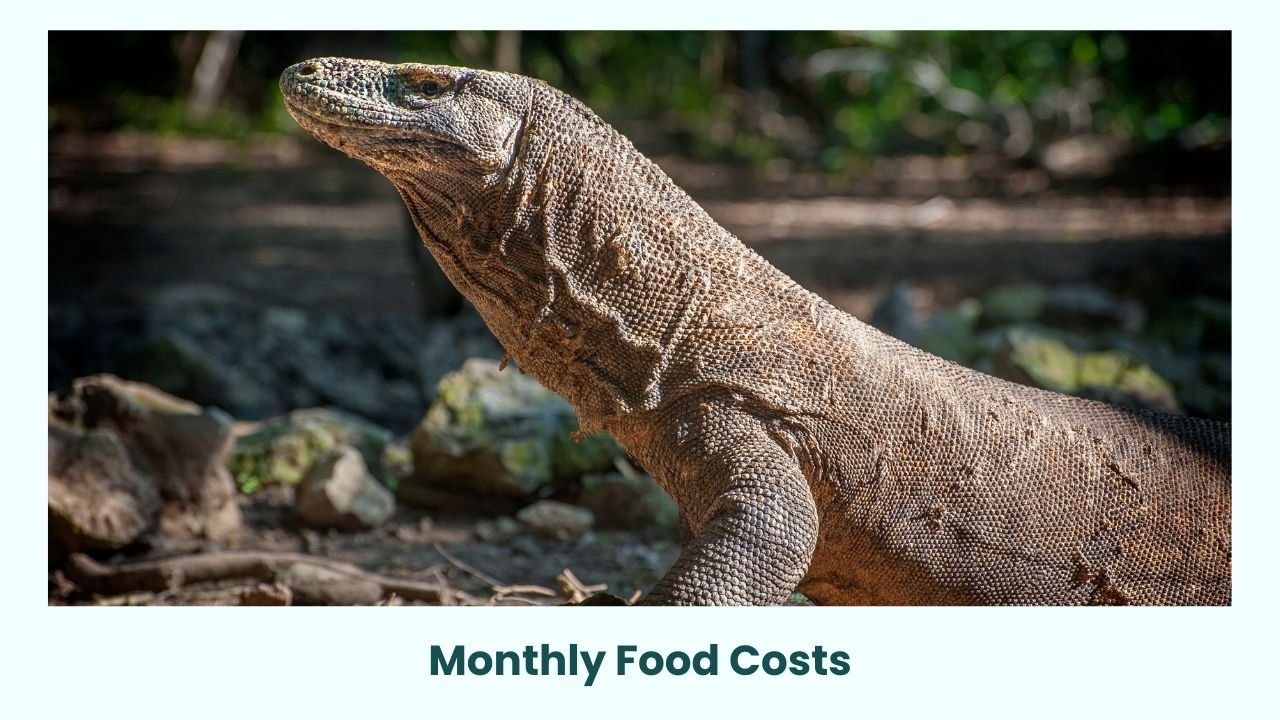 Monthly Food Costs