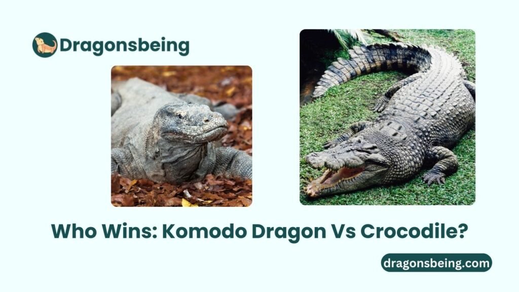 Who Wins Komodo Dragon Vs Crocodile