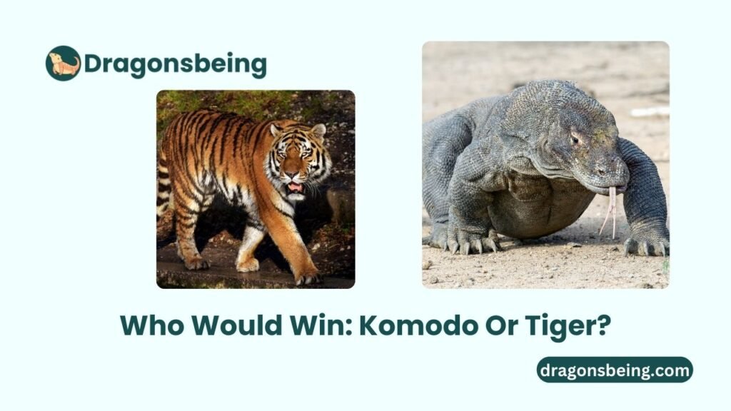 Who Would Win Komodo Or Tiger