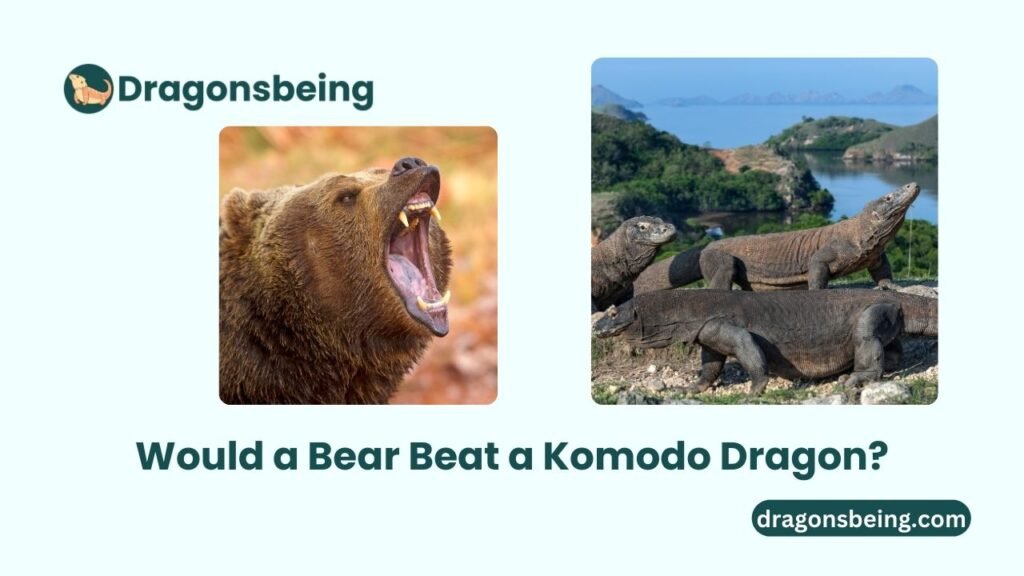 Would a Bear Beat a Komodo Dragon?