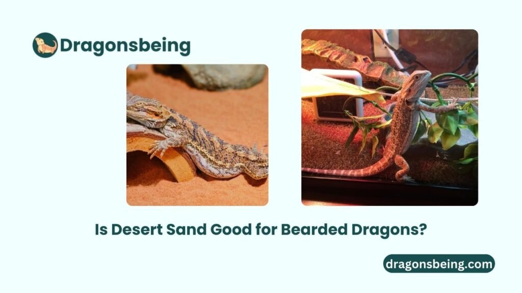 Is Desert Sand Good for Bearded Dragons?